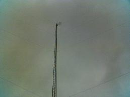 TOWER